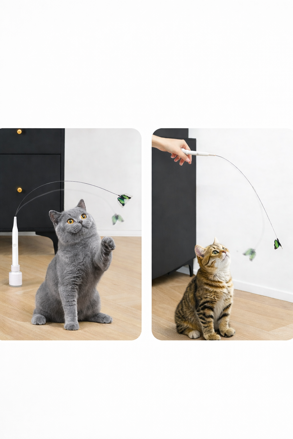 Automatic electric cat toy