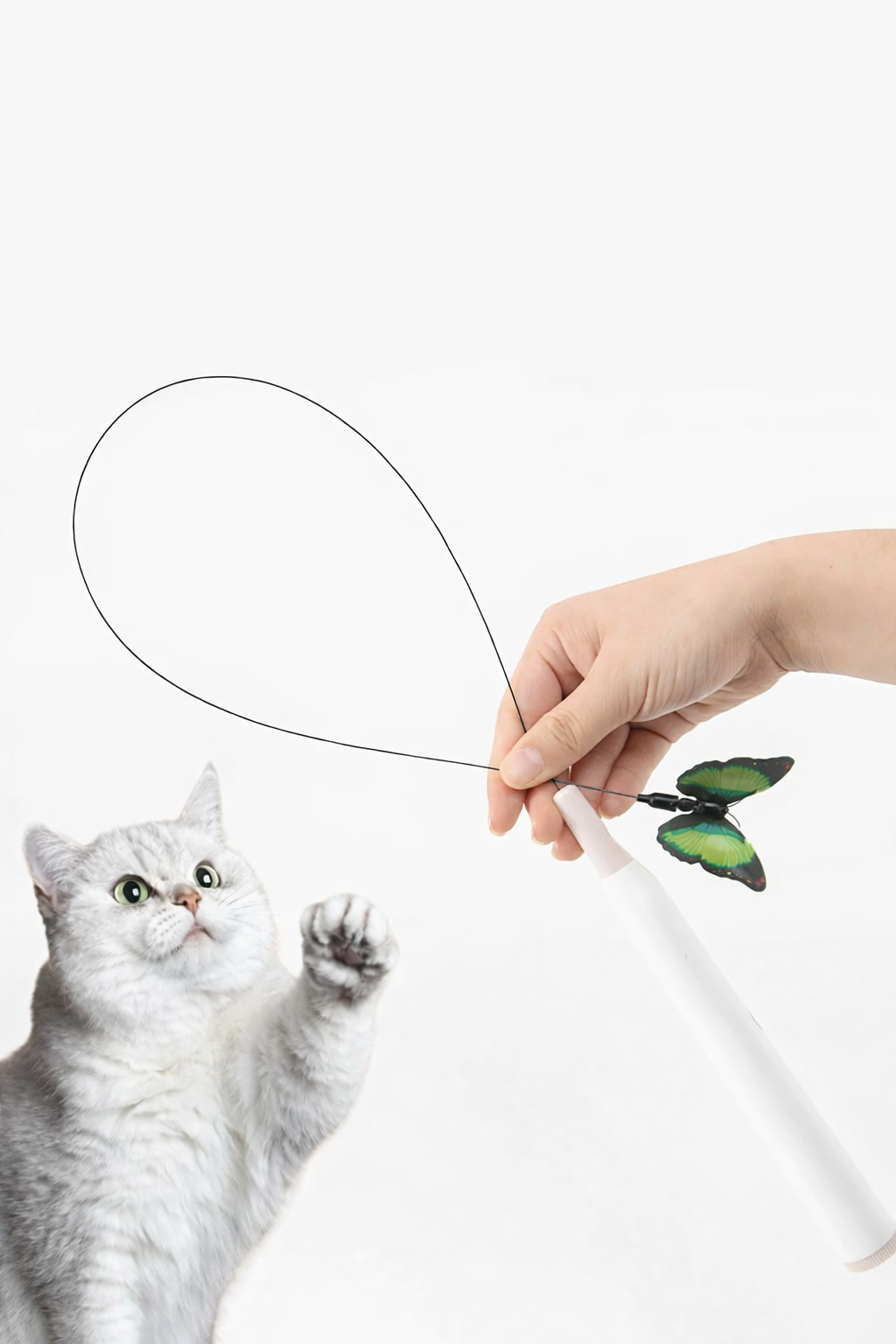 Automatic electric cat toy