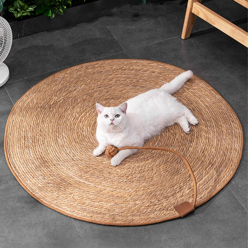 Cat Scratcher Rattan Mat Board