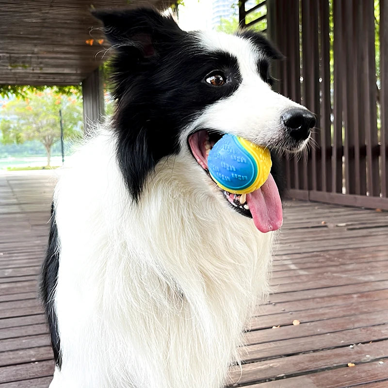 Dog Interactive Soft Ball