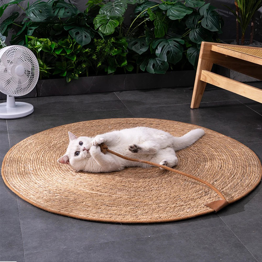 Cat Scratcher Rattan Mat Board