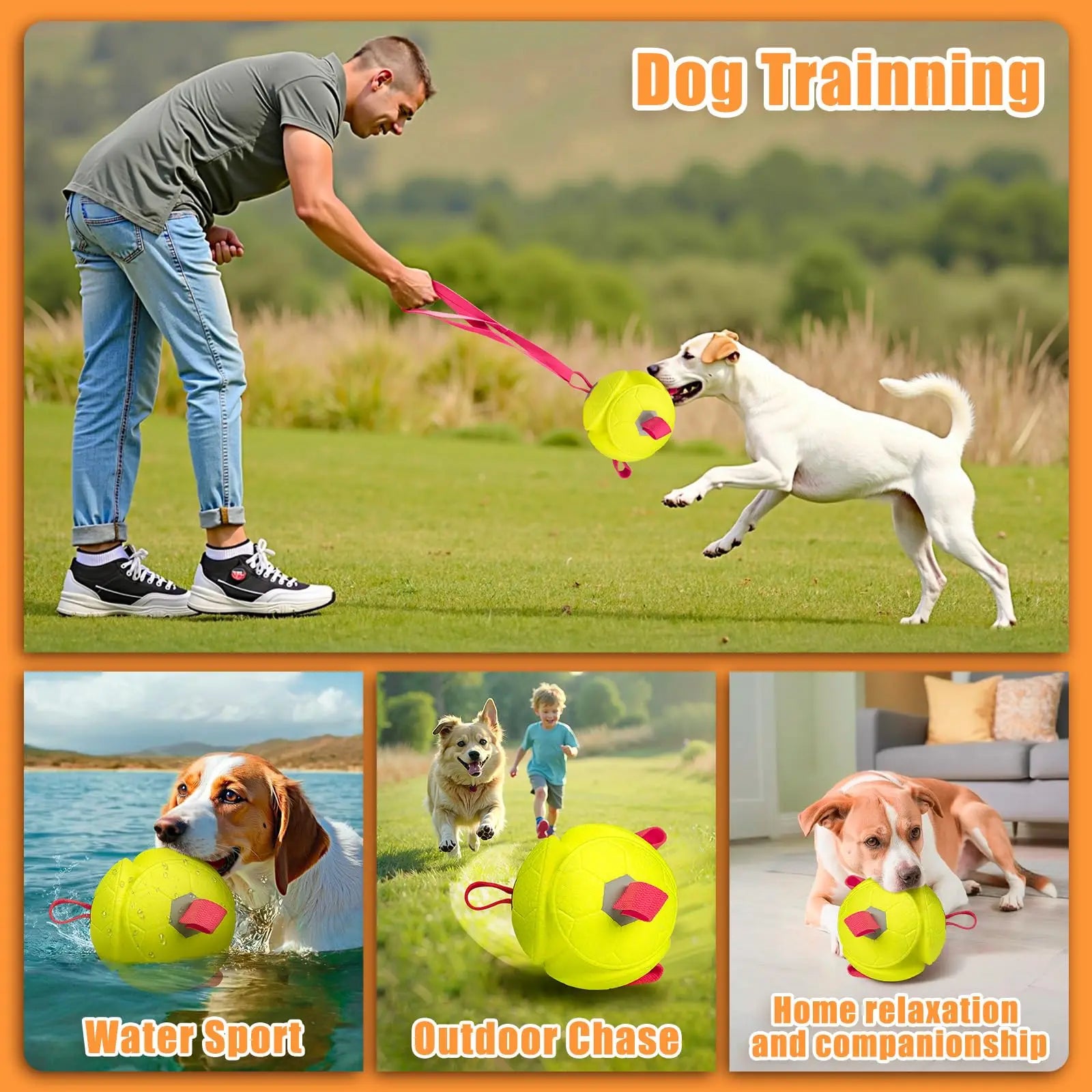 Dog Toy - Floats in Water - Great for Interactive Play