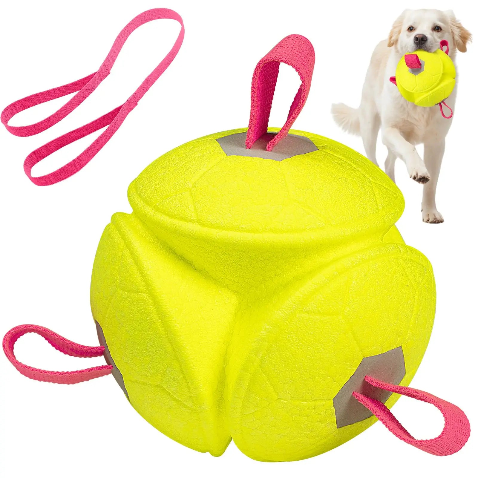 Dog Toy - Floats in Water - Great for Interactive Play